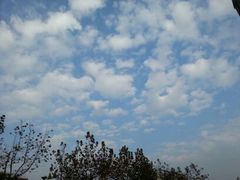 android_upload_pic-西湖茶墅