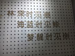 -白日梦奶茶