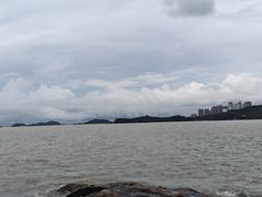 -野狸岛