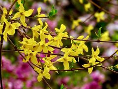 -北京西山国家森林公园