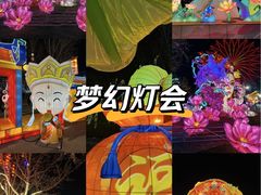 -淄博花灯齐彩城
