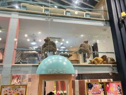点击看大图 -奈尔宝·儿童乐园·亲子餐厅(星河湾店)