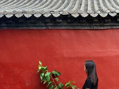 -泰山风景名胜区-普照寺