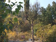 -青州市云门山风景区