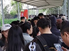 -白洋淀景区