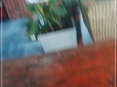 -冯记白土岗辣子鸡