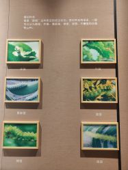 -太湖雪蚕桑文化园