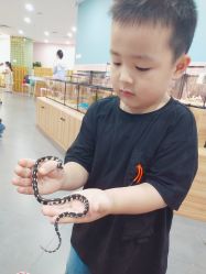 -Moni星球萌宠·小马宝莉·灵蛇·高端高阶全萌宠互动体验俱乐部(红豆国际广场店)