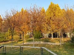 -兴安湖生态运动公园