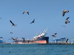-海驴岛(荣成市)