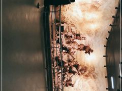 -遵义会议纪念馆