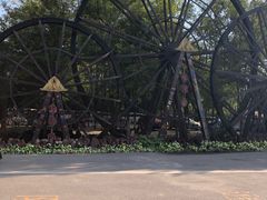 -呀路古热带植物园