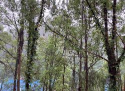 -爱丽馨御景月子中心