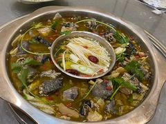 -黑河坝泡姜鸡贡椒鱼(贾旗路店)