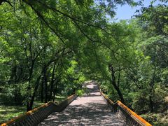 -沈阳市东陵公园