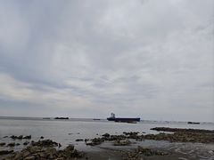 -启东黄金海滩景区