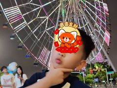 -南昌之星摩天轮