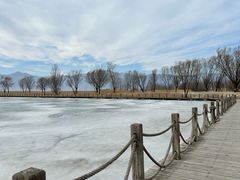 -野鸭湖国家湿地公园