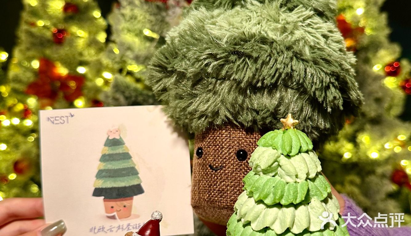 西湖边!室内圣诞树森林🌲好拍还不冷!!