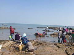 -巧克力渔家.小船海鲜胶东菜(万平口店)