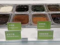 -Salud撒露欧洲冻酸奶(五道口购物中心店)