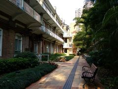 -香港大学