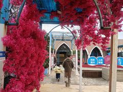 -马大胡子清真西北菜