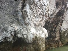 -班拉雅潜水度假村