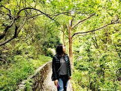 -宁波五龙潭景区