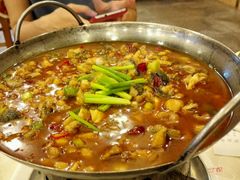 -金龙寨(解西店)