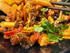 -食乐佳麻辣香锅(森林摩尔商业街区店)