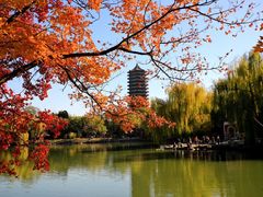 -勺园中餐厅