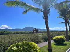 -亚龙湾国际玫瑰谷