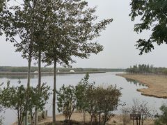 -西青郊野公园