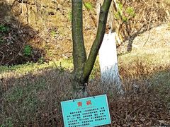 -苏州清山会议中心