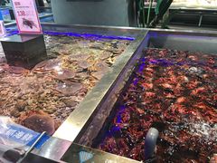 -盒马鲜生(昆城店)