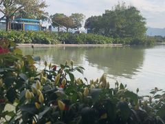 -晓琦农家菜馆·地道农家菜