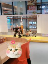 -Block Park 租乐高(天虹店)