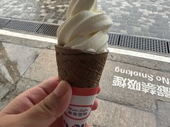 -富豪雪糕车流动点(尖沙咀店)