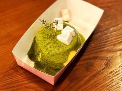 -狐狸和向日葵(北京路店)