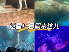 -海合安武汉极地海洋公园