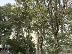 -国际非物质文化遗产博览园