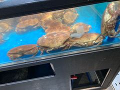 水产区-盒马鲜生(曜一城店)