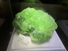 -湖南省地质博物馆