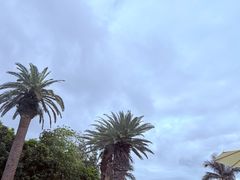 -雾山韩式烤肉·海南糟粕&椰子鸡火锅·海景餐厅(三亚绿发山海天JW万豪酒店)