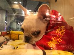 -中关村茶点