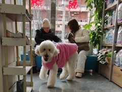 -美联众合爱康动物医院•复杂内科•肿瘤科•牙科•腔镜诊疗中心