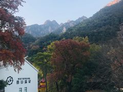 -黄山温泉国际旅游度假区