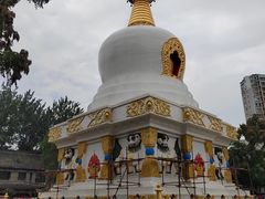 -护国法轮寺