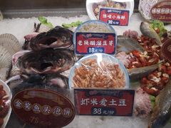 -福苗小骆驼烧烤(大唐不夜城店)